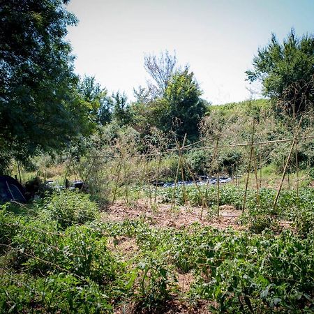 Tente En Permaculture Pirate Creysse  Extérieur photo
